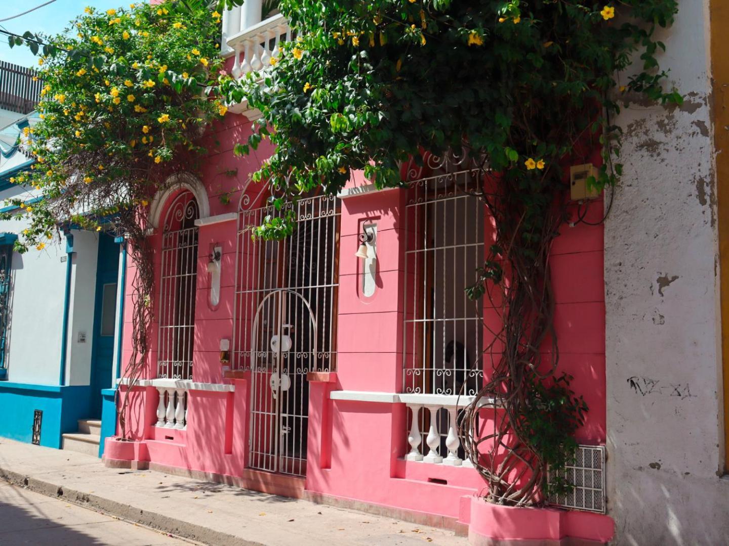 Casa Rosa - Alma Hotels — Fotos 1